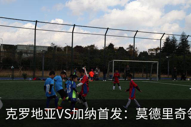 克罗地亚VS加纳首发：莫德里奇领军 佩里西奇科瓦契奇
